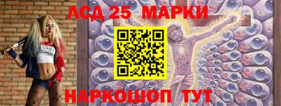 индика Гусь-Хрустальный