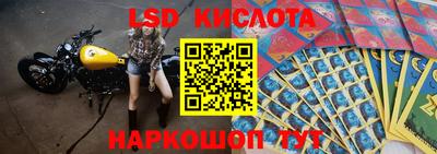 спиды Славгород