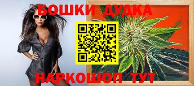индика Гусь-Хрустальный