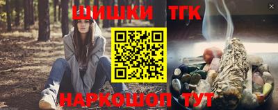 индика Гусь-Хрустальный