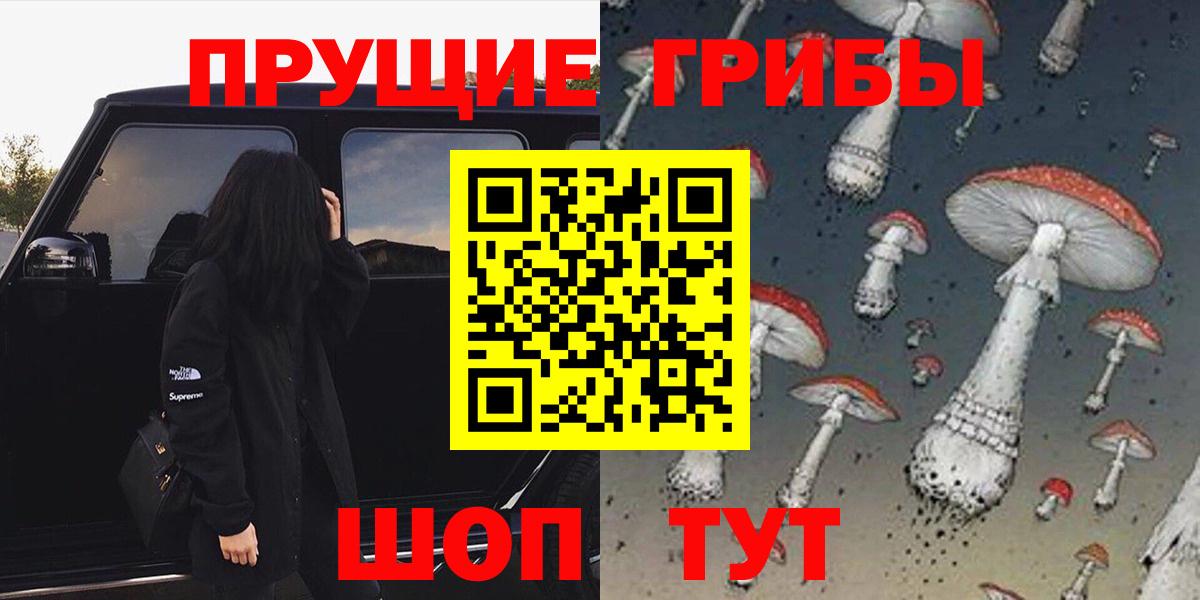 Псилоцибиновые грибы GOLDEN TEACHER  Галлюциногенные грибы прущие грибы  Вход с VPN  как найти закладки  Нефтеюганск 